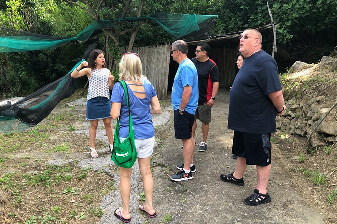 Private Pompeii Tour with lunch and Olive Oil Factory Experience - Stefanias strongest contribution
