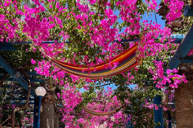 PRIVATE-South Crete-Matala Beach-Olive oil- Wine-Old Villages - Key points at a glance