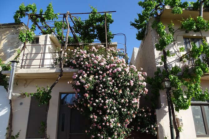 Private Tour-Authentic Villages of Lasithi Olive Oil and Wine - Psychro and a hands-on craft stop