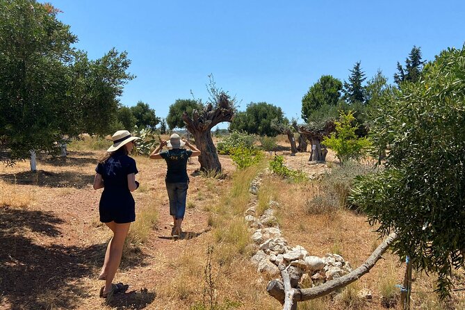Private Tour: Discover the Secret World of Olives in Afantou - Is $62.48 a fair price?