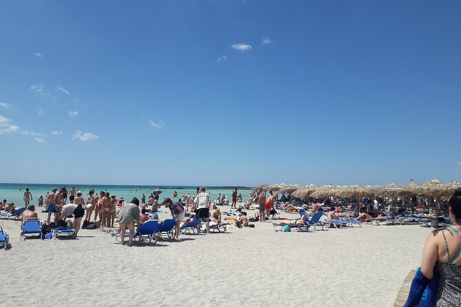 Private Tour Elafonisi Beach with Honey Olive Oil & Wine Tastings - What this Chania day trip is really like