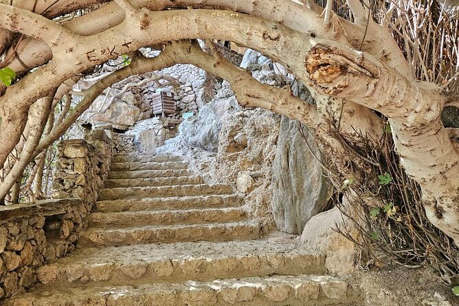 Private Tour Elafonisi Beach with Honey Olive Oil & Wine Tastings - 10:30 at the Cave of Agia Sofia