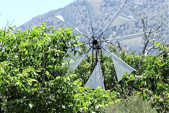 Private Tour-Knossos Palace Zeus Cave Olive Oil Mill & Wine - Mesa Lasithi coffee and the feel of a village