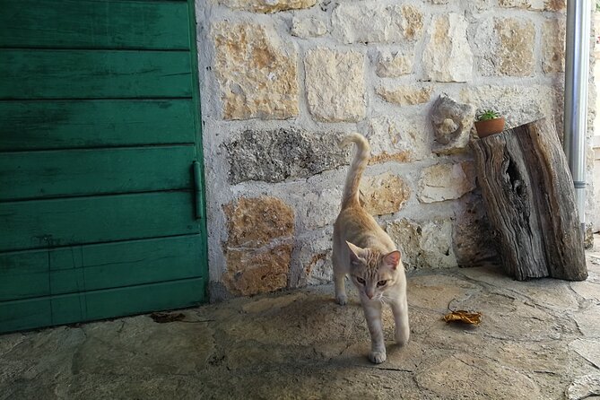 Private tour of Brač island with olive oil tasting - What a private guide changes