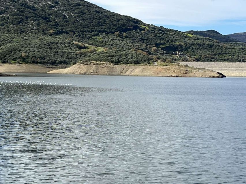 Private Tour, Olive Mill, Scotino Cave, Lasithi Plateau H/D - Practical Advice for a Smoother Visit