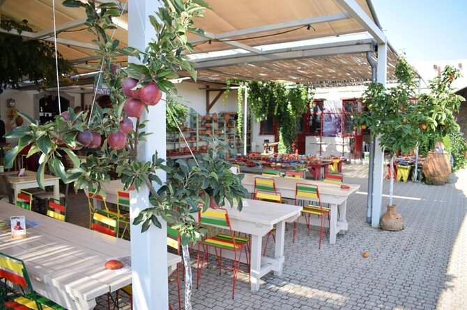 Private Tour, Olive Mill, Scotino Cave, Lasithi Plateau Half day. - Mochos and Krasi: a strong finish among village roads