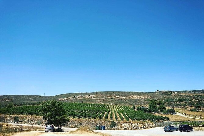 Private Tour: Soap, Olive Oil & Lyrarakis Winery with Lunch - Who Should Book This Experience?