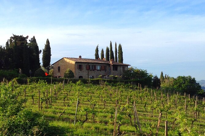 Private Wine and Extra Virgin Olive Oil Tasting - Why the 45-minute timing matters