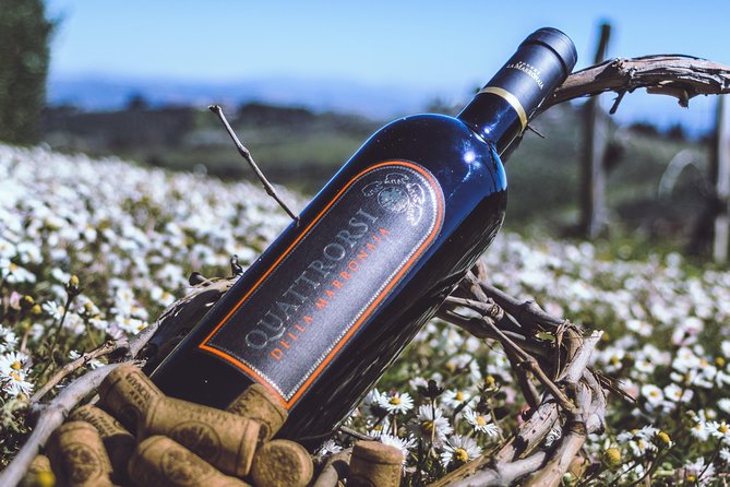 Private Wine and Extra Virgin Olive Oil Tasting - Who will enjoy this private tasting most?