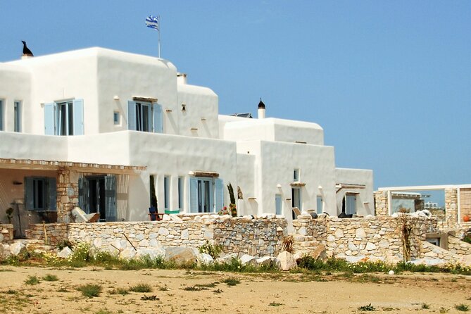 Private Wine & Olives Tasting Experience: Beach View Villa Paros - The Olive Trees Add a Real Sense of Place
