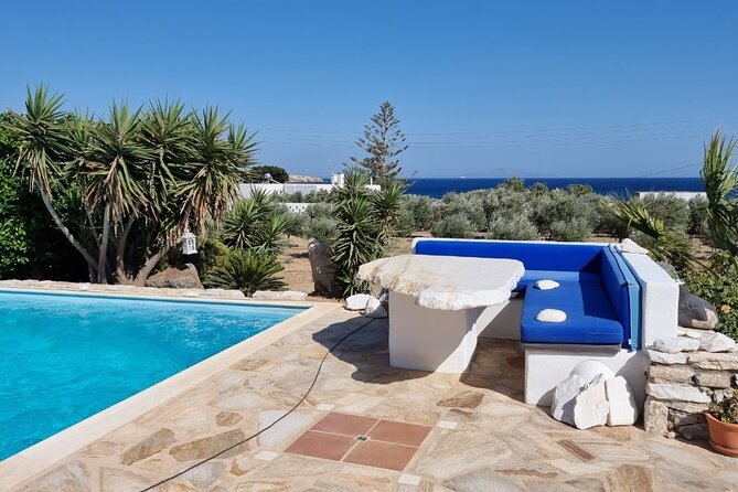 Private Wine & Olives Tasting Experience: Beach View Villa Paros - A Friendly Choice for Families and Groups