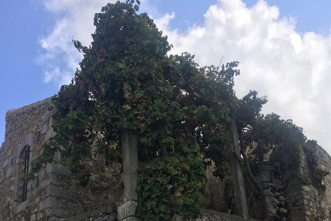 PRIVATE-Winery+Olive Oil Factory-Old Villages-Old Wind Mills - Lunch at a family restaurant, if you want it