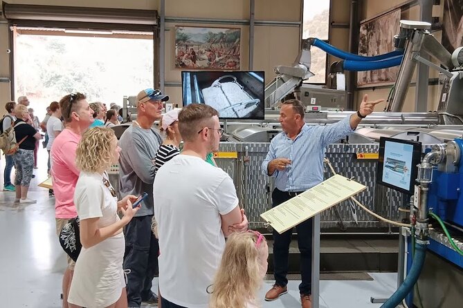 Private Winery Tour with Olive Oil, Honey & Raki Distillery Visit - What the $290.36 price really buys