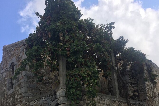 PRIVATE-Zeus Birthplace-Traditional Villages-Olive Oil Factory - Why this private tour reaches beyond Crete’s resorts
