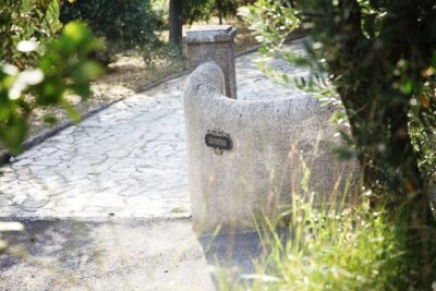 Provence Olive Harvest