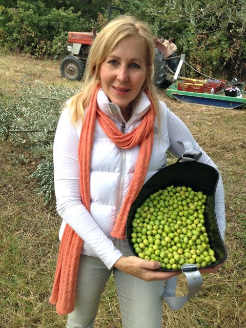 Provence Olive Harvest - Choosing the morning or afternoon start