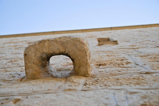 Puglia Olive Oil Tasting Experience with Olive Grove Walk - Meeting point, transport, and timing
