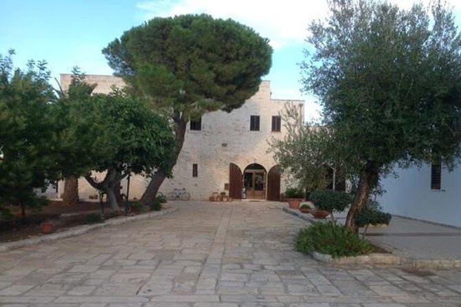 Puglia Olive Oil Tasting Experience with Olive Grove Walk - My verdict on the Puglia olive oil tasting