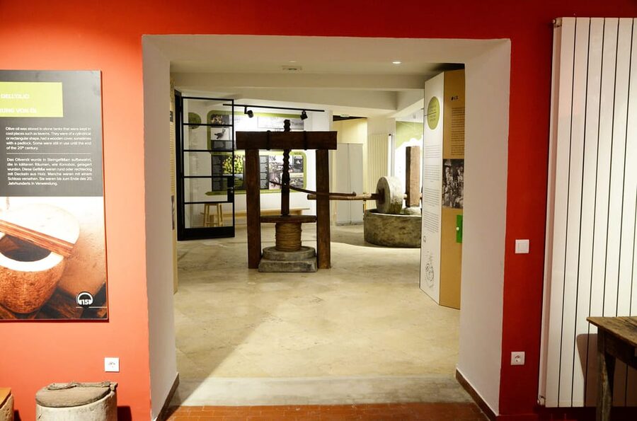 Pula: House of Istrian Olive Oil Museum and Guided Tasting - The tasting room turns theory into something you can taste