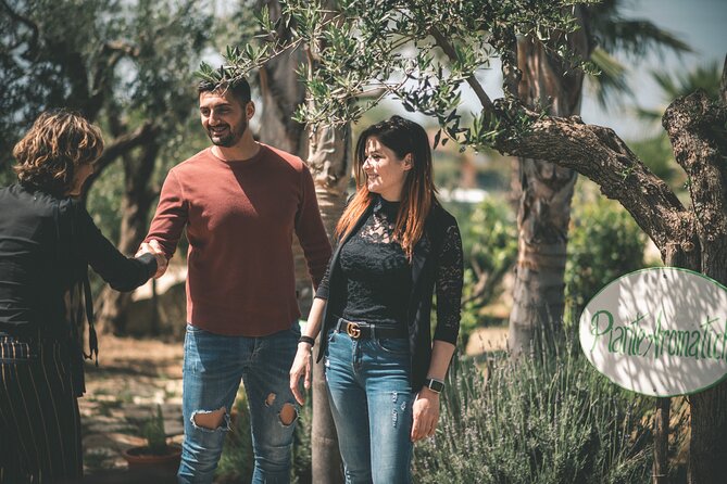 Raccolta delle olive e degustazione vini e olio con brunch ad Alcamo - Visiting the winery and tasting Sicilian wine