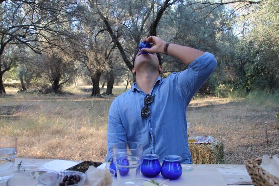 Rethymno: Olive Oil Tasting with Cretan Food Pairing - Tasting Four Oils Under the Trees