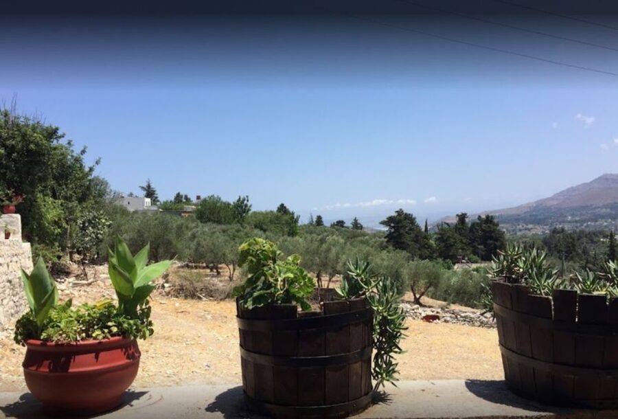 Rethymno: Private Winery & Olive Oil Tasting Tour with Lunch - A guided look at Dourakis Winery