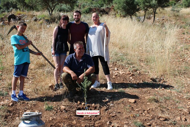 Rethymnon Olive Tree Sponsorship Protect and Plant Tour - Meeting in Rethymno and heading to the grove