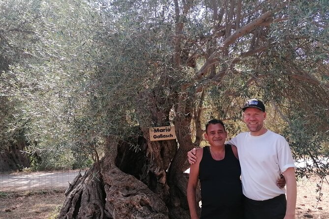 Rethymnon Olive Tree Sponsorship Protect and Plant Tour - At the olive grove: plaque, photographs, and a toast