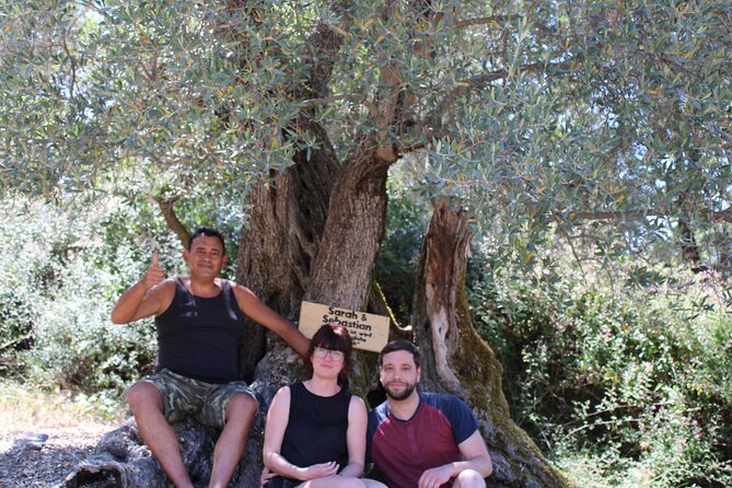 Rethymnon Olive Tree Sponsorship Protect and Plant Tour - Weather, cancellation, and planning advice