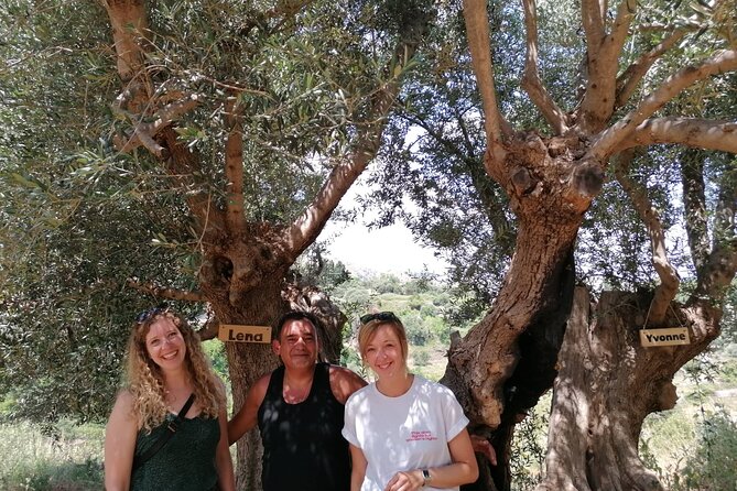 Rethymnon Olive Tree Sponsorship Protect and Plant Tour - The planting option and the Cretan Lazarus project