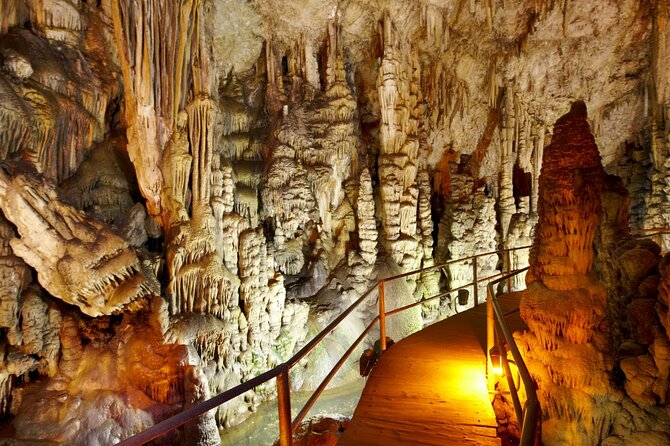 Road-trip to Lasithi, Zeus Cave, Vidiani, Krasi & Olive Mill Farm - Key points to know before you book