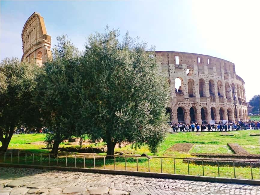 Rome: Masterclass Extra Virgin Olive Oil & Table Olives - Who will enjoy this class most