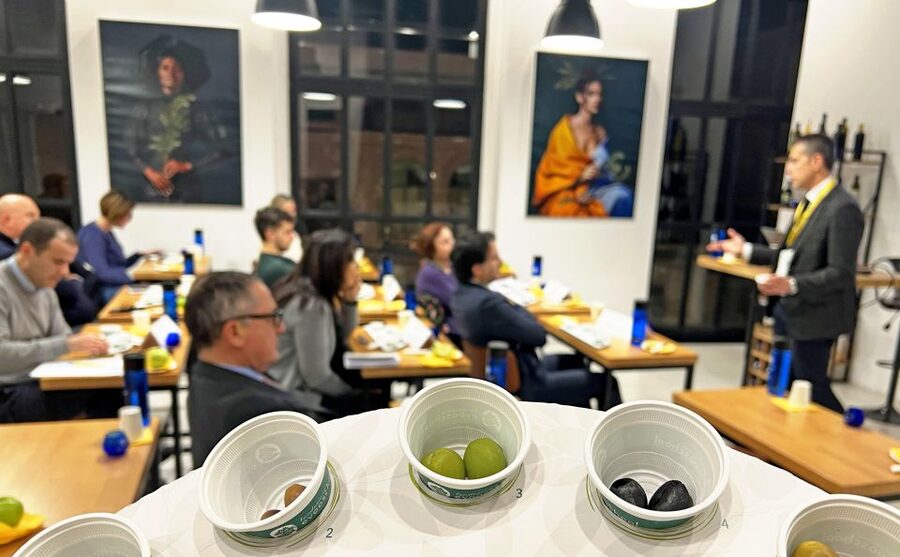Rome: Masterclass Extra Virgin Olive Oil & Table Olives - Entering the school in central Rome