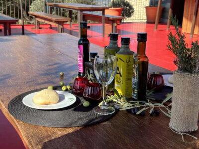 LA Almazara LA Organic, Olive Oil Museum and Tasting