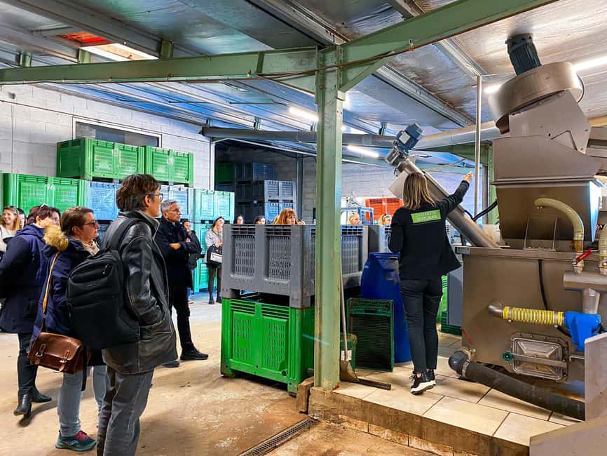 Saint Gilles: Visit an olive oil mill in an organic olive grove - The seasonal film makes the olive cycle easy to follow