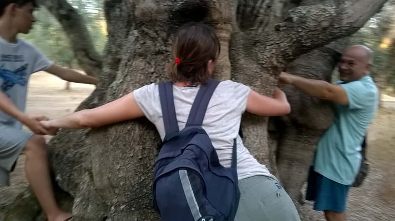 Salento: Olive Oil Mill Walking Tour with Tastings - Key Points Before You Book
