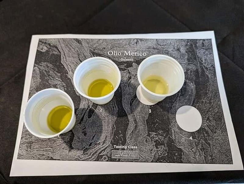 Salento: Olive Oil Mill Walking Tour with Tastings - Inside the Mill and Production Areas