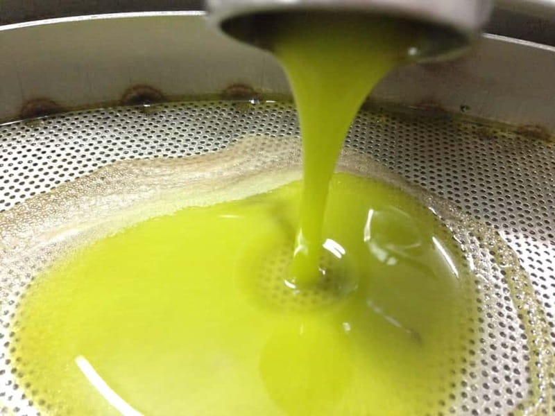 Salento: Olive Oil Mill Walking Tour with Tastings - Learning to Taste Olive Oil Properly