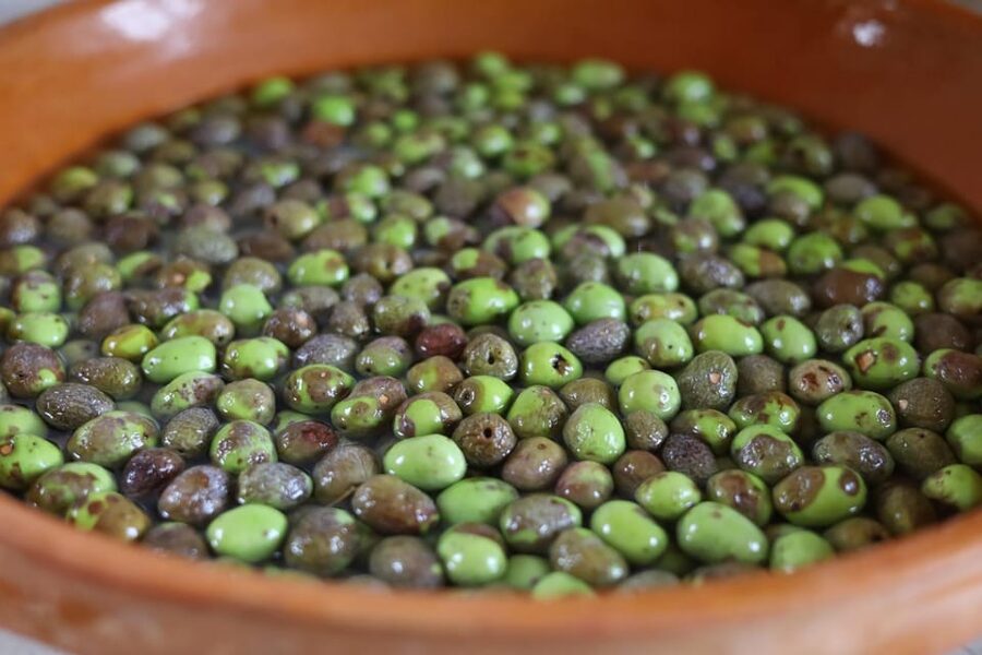 San Felice: Olive Oil Tasting with local food on Garda Hills - Timing, parking, and practical details
