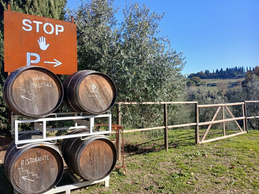 San Gimignano: Winery Visit with Picnic in Olive Grove - The olive oil connection