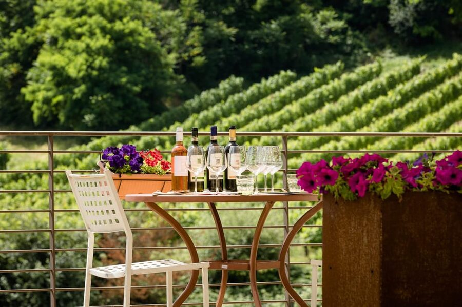 San Gimignano: Winery Visit with Picnic in Olive Grove - Arriving at the family winery