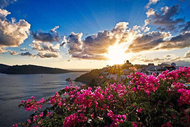 Santorini: 6hr Private Tour with Olive Oil, Beer or Wine Tasting - Sant Organics turns tasting into a local experience
