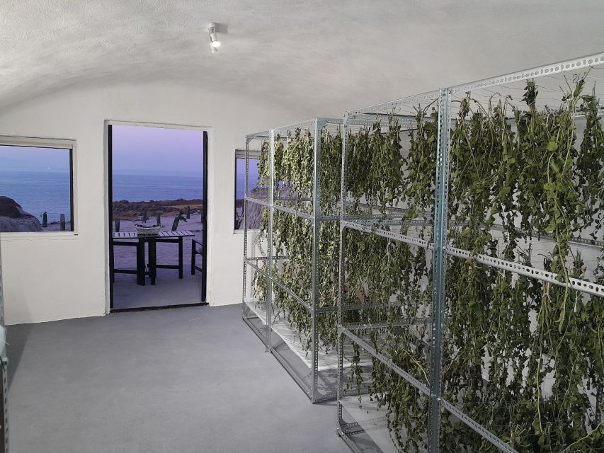 Santorini: Private Olive Oil tasting & Liqueur experience - Why this farm visit offers a different Santorini