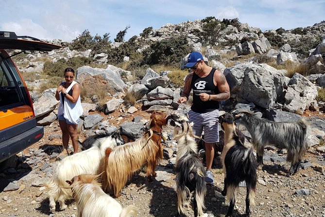 Sarakina Gorge, Kritza, Oliveoil Tasting, Mountains, South Coast - Lunch in a mountain village