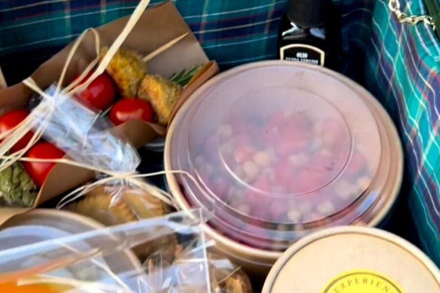 Sardinian Olive Oil tasting & Picnic among the olive trees - Walking among the centenary olive trees