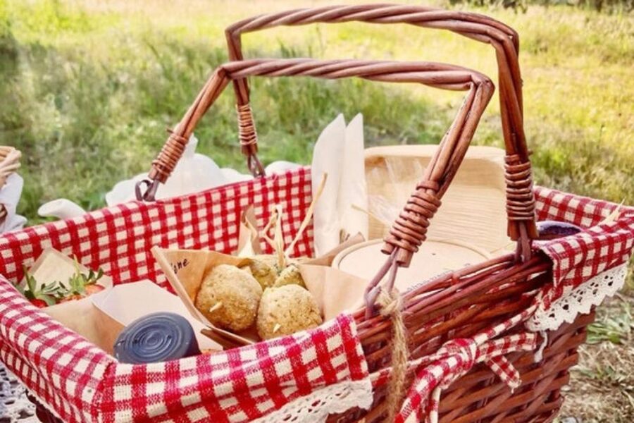 Sardinian Olive Oil tasting & Picnic among the olive trees - The seven-tasting picnic
