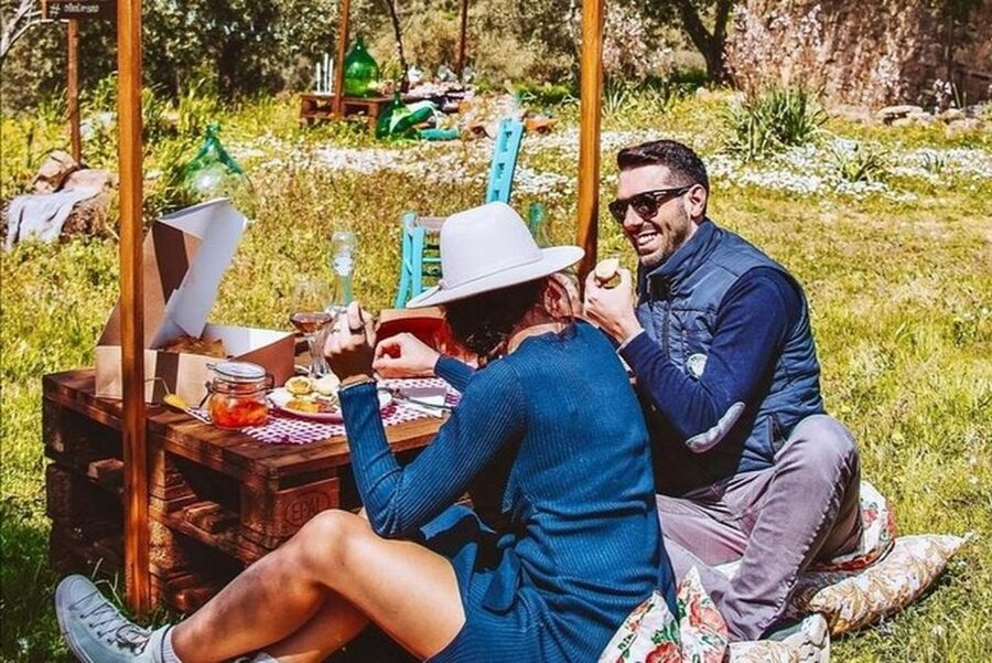 Sardinian Olive Oil tasting & Picnic among the olive trees - Special diets and food expectations