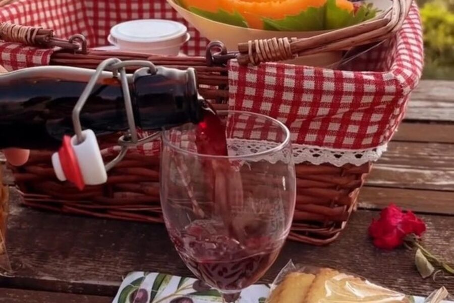 Sardinian Olive Oil tasting & Picnic among the olive trees - Is $81 a fair price?