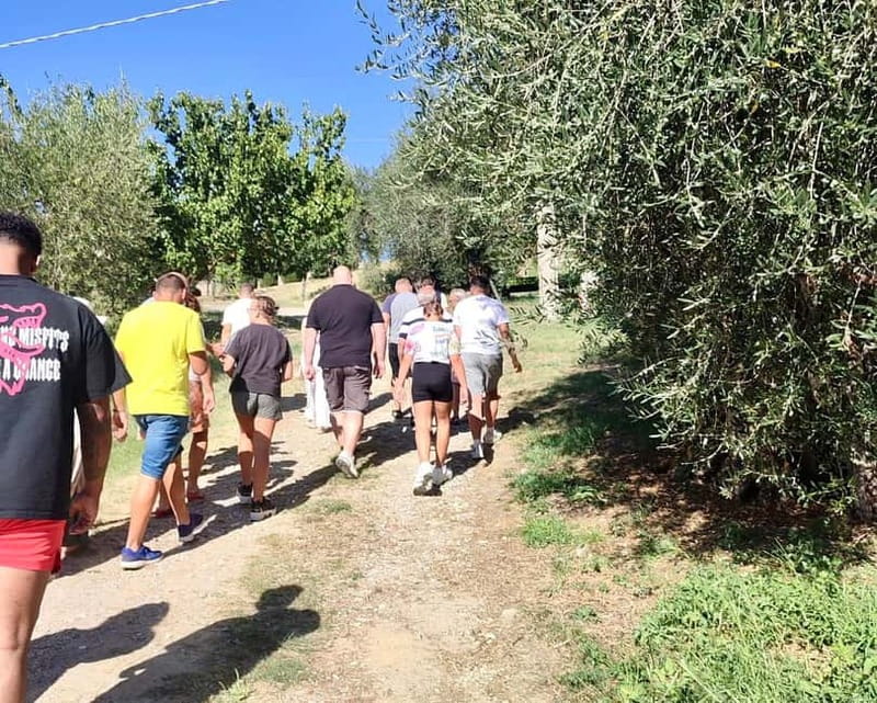 Seggiano: Guided Tour of the Olive Grove and Food Tasting - Key details before you book