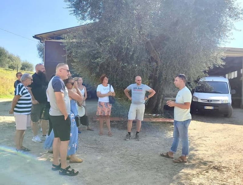 Seggiano: Guided Tour of the Olive Grove and Food Tasting - From harvested olives to extra virgin oil